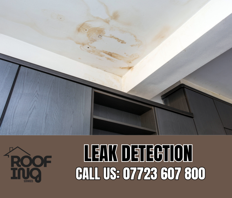 Roof Leak Detection in Torpoint