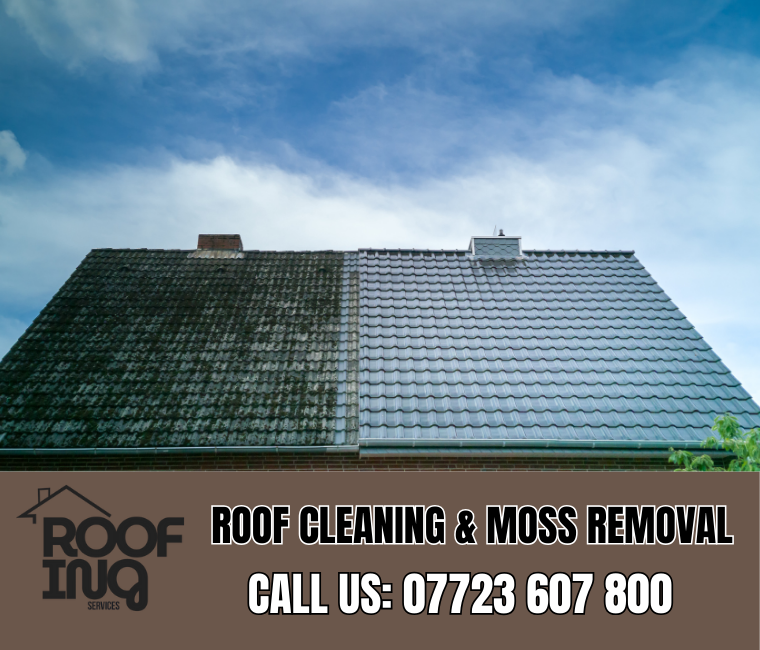 Roof Cleaning in Torpoint